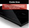 Picture of FURRION Induction Cooktop Black Glass Top Part# 06-8974  FIH21G2A-BG